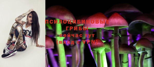 ALPHA PVP Армянск