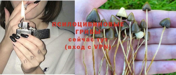 гашик Арсеньев